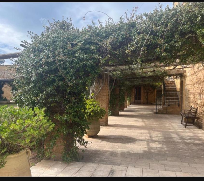 Masseria Sotto Le Stelle Provenzani Casalabate Luaran gambar